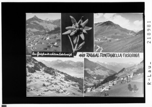 Ein Gruß mit echtem Edelweiß aus Raggal - Fontanella - Faschina