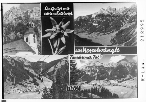 Ein Gruß mit echtem Edelweiß aus Nesselwängle Tannheimertal Tirol