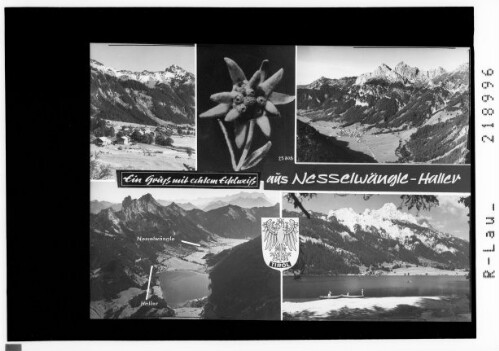 Ein Gruß mit echtem Edelweiß aus Nesselwängle und Haller