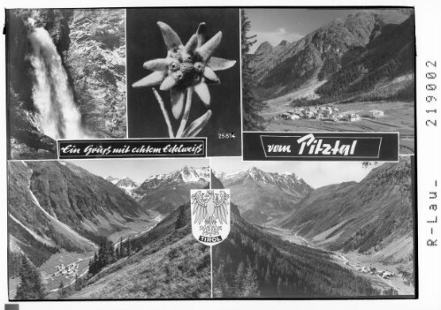 Ein Gruß mit echtem Edelweiß vom Pitztal : [Plangeross]