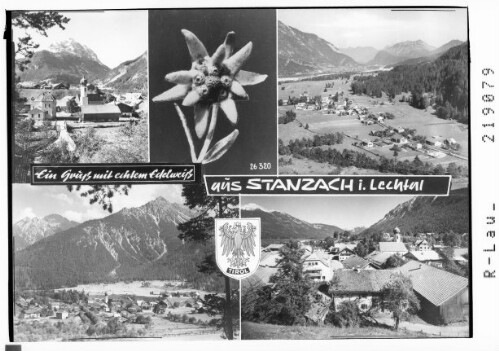 Ein Gruß mit echtem Edelweiß aus Stanzach im Lechtal