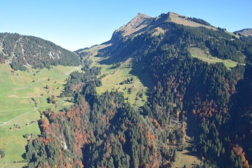 [Au, Schoppernau - Älpele, Rehmer Bach, Diedamskopf]