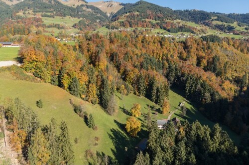 [Thüringerberg - Gstins]