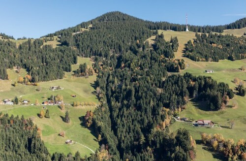 [Dünserberg - Älpele, Boden, Pfänder]