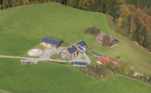 [Andelsbuch, Parzelle Hof, Wirth]