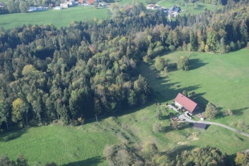 [Lochau - Pfänderhang - Landwirtschaft]