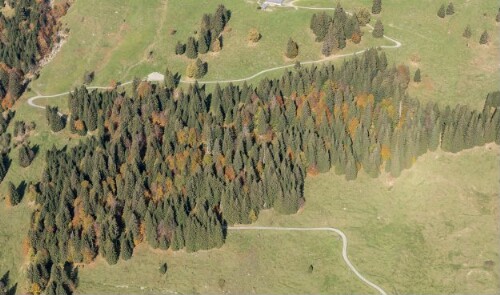 [Mellau - Waldalpe, Untergüntenstallalpe]