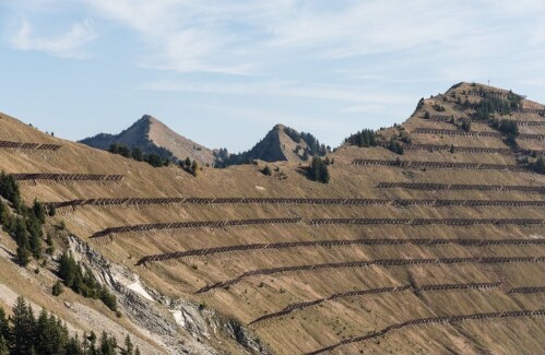 [Thüringerberg - Hüttenkopf - Lawinenverbauung]