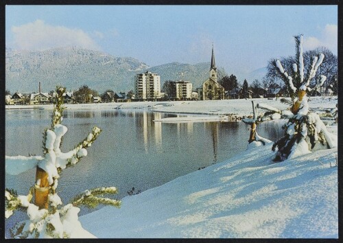 [Hard] : [Winterliches Hard a. Bodensee ...]