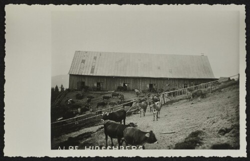 [Langen bei Bregenz]