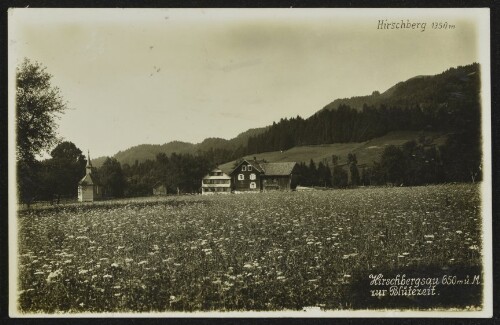 [Langen bei Bregenz] Hirschbergsau 650 m ü. M. zur Blütezeit : Hirschberg 1350 m