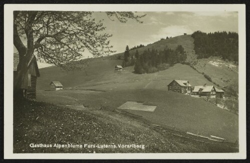 [Zwischenwasser] Gasthaus Alpenblume Furx-Laterns Vorarlberg