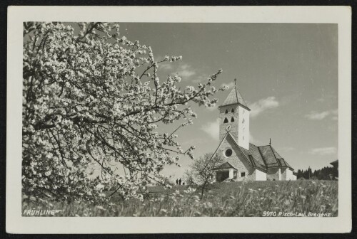 [Zwischenwasser Batschuns]  Frühling 