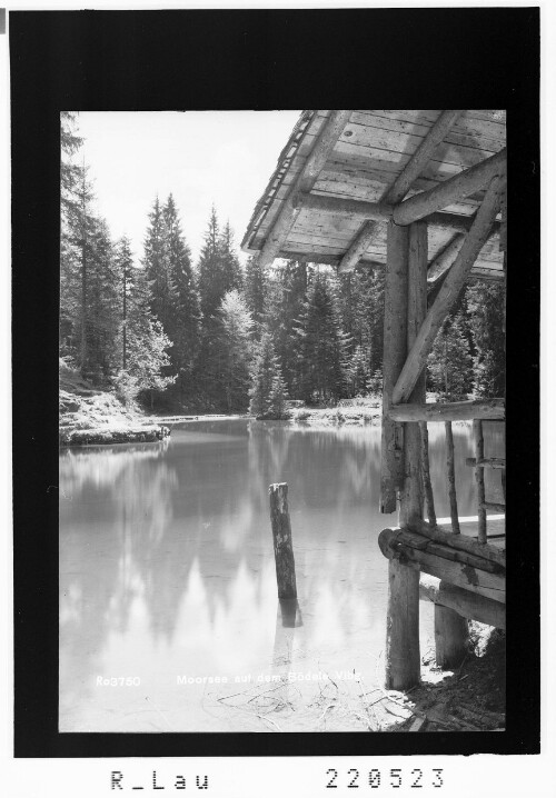 Moorsee auf dem Bödele / Vorarlberg