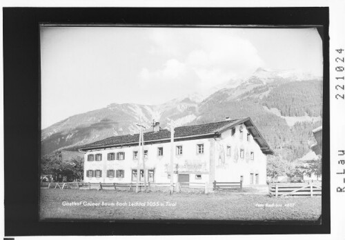 Gasthof Grüner Baum Lechtal 1055 m Tirol : [Gasthaus zum grünen Baum in Bach im Lechtal]
