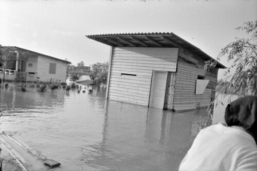 Hochwasser in Fußach