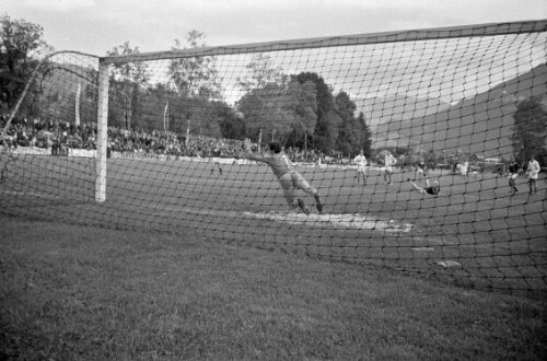 Feldhandballweltmeisterschaft auf der Birkenwiese in Dornbirn