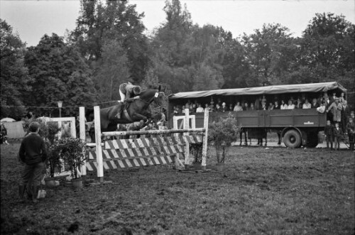 8. Internationales Bregenzer Reit- und Springturnier