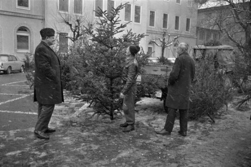 Christbaummarkt am Kornmarkt in Bregenz