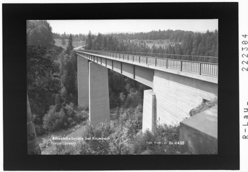 Bärentobelbrücke bei Krumbach / Bregenzer Wald : [Börentobel mit Bärenbrücke bei Krumbach]