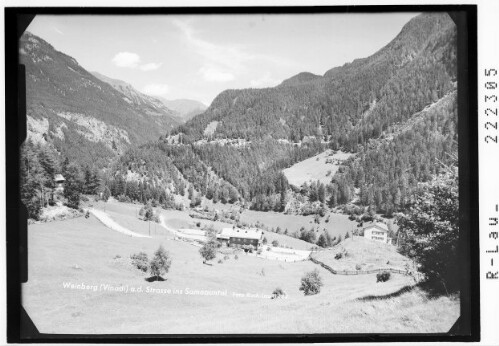 Weinberg (Vinadi) an der Strasse ins Samnaun