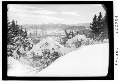 [Blick vom Pfänder in den Bregenzerwald]