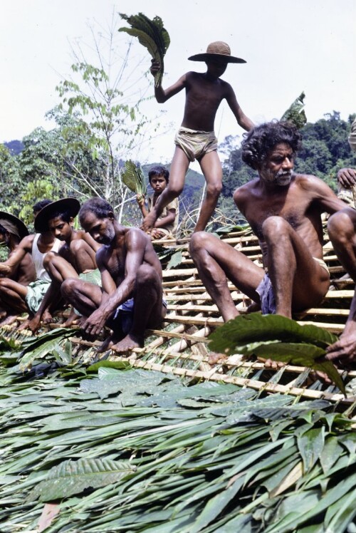 [Hüttenbau in Sri Lanka]