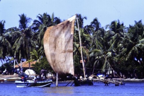 [Negombo]