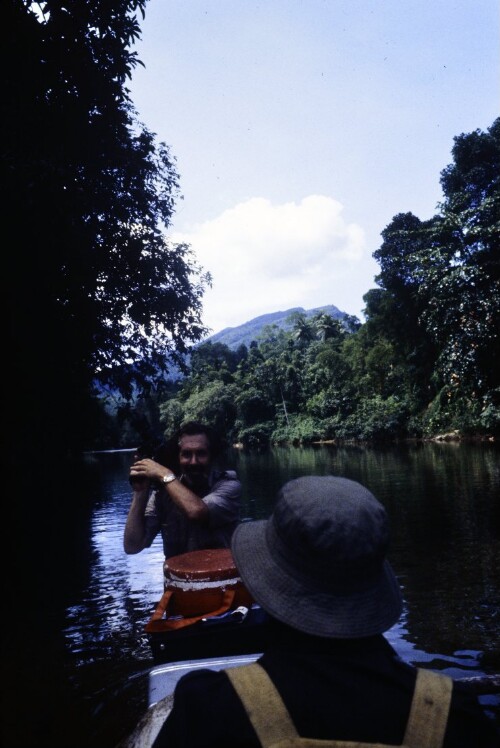 [Regenwald in Sri Lanka]