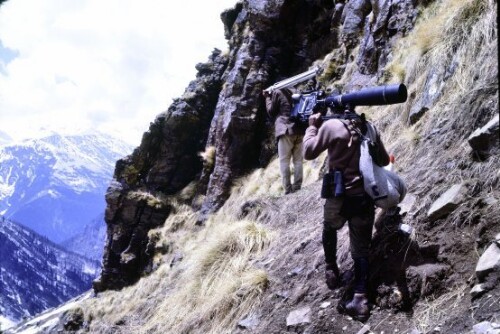 [Träger unterwegs zum Bärenfang im Himalaya]