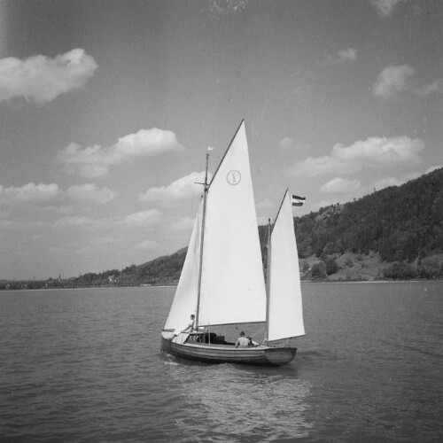 Bodensee, Segelboot