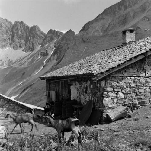 Fontanella - Faschina, Alpe