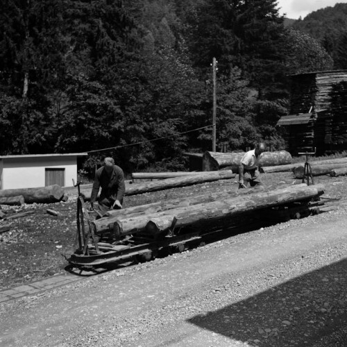 Transport von Baumstämmen