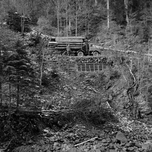 Transport von Baumstämmen mit Lastwagen