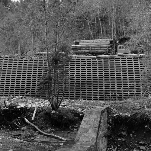 Abtransport von Baumstämmen