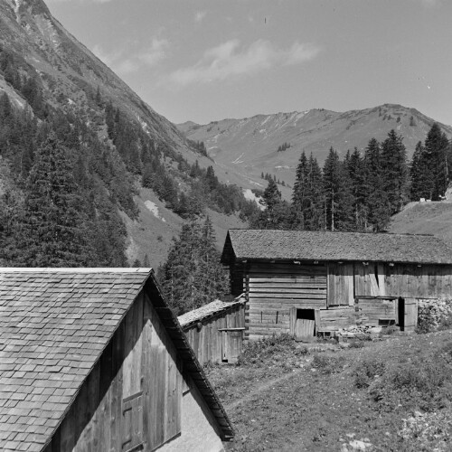 Großes Walsertal, Alpe