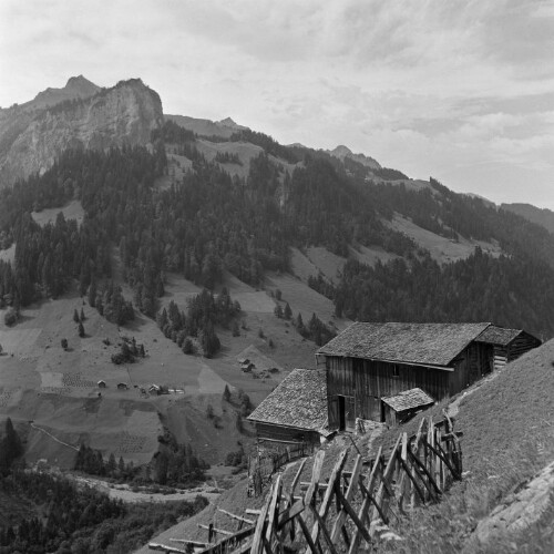 Sonntag - Buchholz,Egga