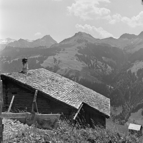 Großes Walsertal, Einzelnes