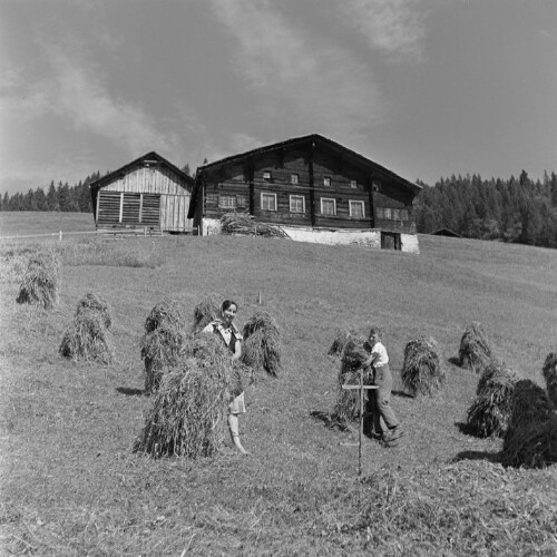 Fontanella, Kirchberg, Heuernte