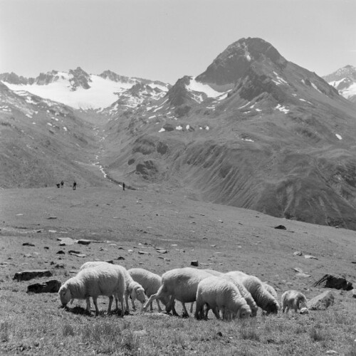 Silvretta, Einzelnes