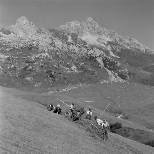 Schröcken, Heuernte