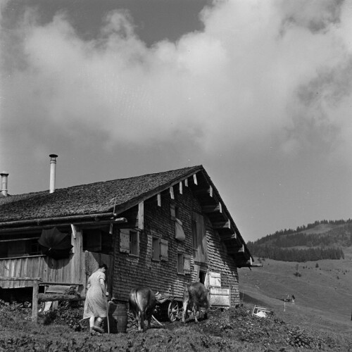 Schwarzenberg, Vorsäß Klausberg-Hinterstück