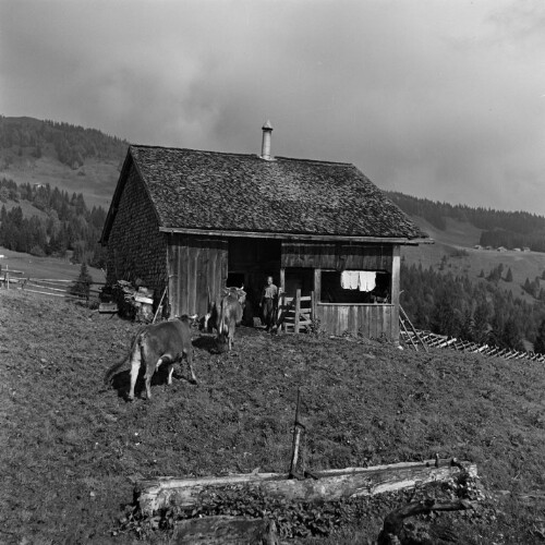 Schwarzenberg, Vorsäß Klausberg Hinterstück