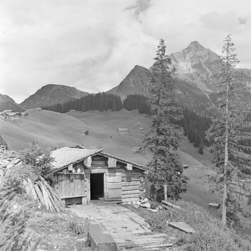 Warth, Stall auf der Wetterweide