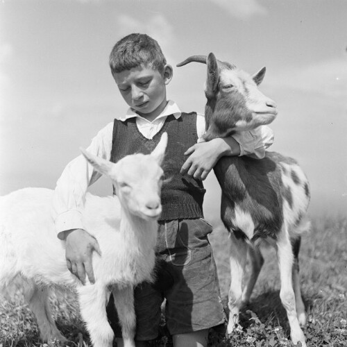 Bub mit Schaf und Ziege