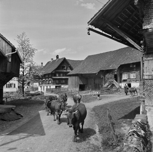 Dornbirn - Hatlerdorf, Haslachgasse 5, 7