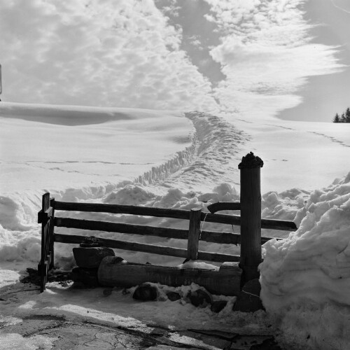 verschneite Landschaft