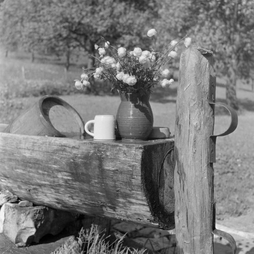 Brunnen mit Blumen