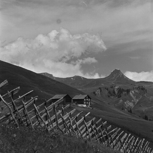 Damüls, Bergbauernhof Grüsch, Mittagsspitze