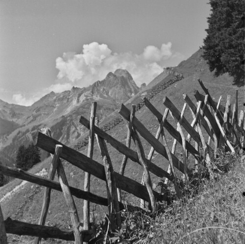 Schröcken, Alpe Felle